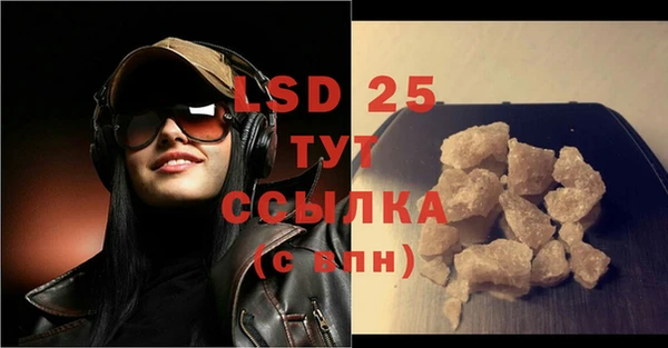 шишки Арсеньев