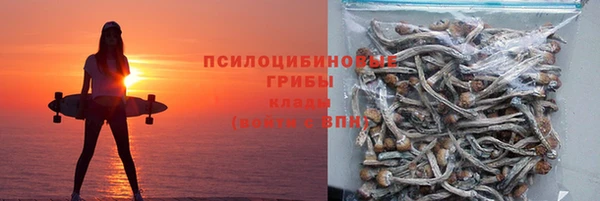 спиды Аркадак