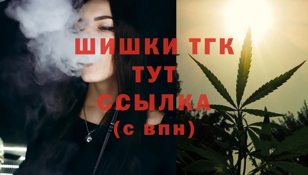 спиды Аркадак