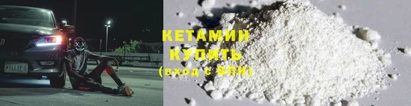 шишки Арсеньев