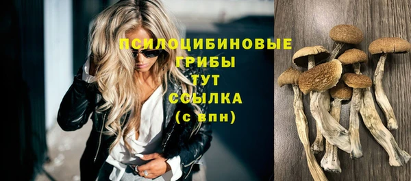 спиды Аркадак