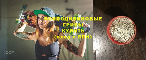 шишки Арсеньев