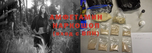 шишки Арсеньев